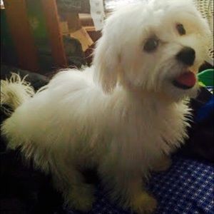 Meet your Posher, Anna